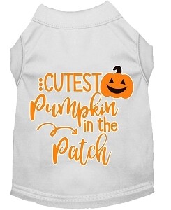 Cutest Pumpkin in the Patch Screen Print Dog Shirt