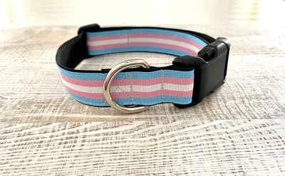 Thimble & Thread Transgender Pride Dog Collar