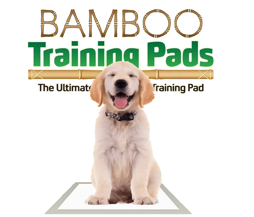 Bamboo Training Pads 30 Count