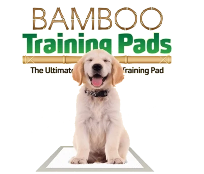 Bamboo Training Pads 30 Count