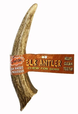 Scoochie Elk Antler 5-6" Dog Chew