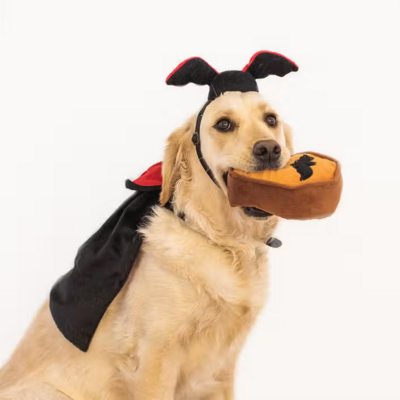 ZippyPaws Halloween Costume Kit Dracula For Dogs