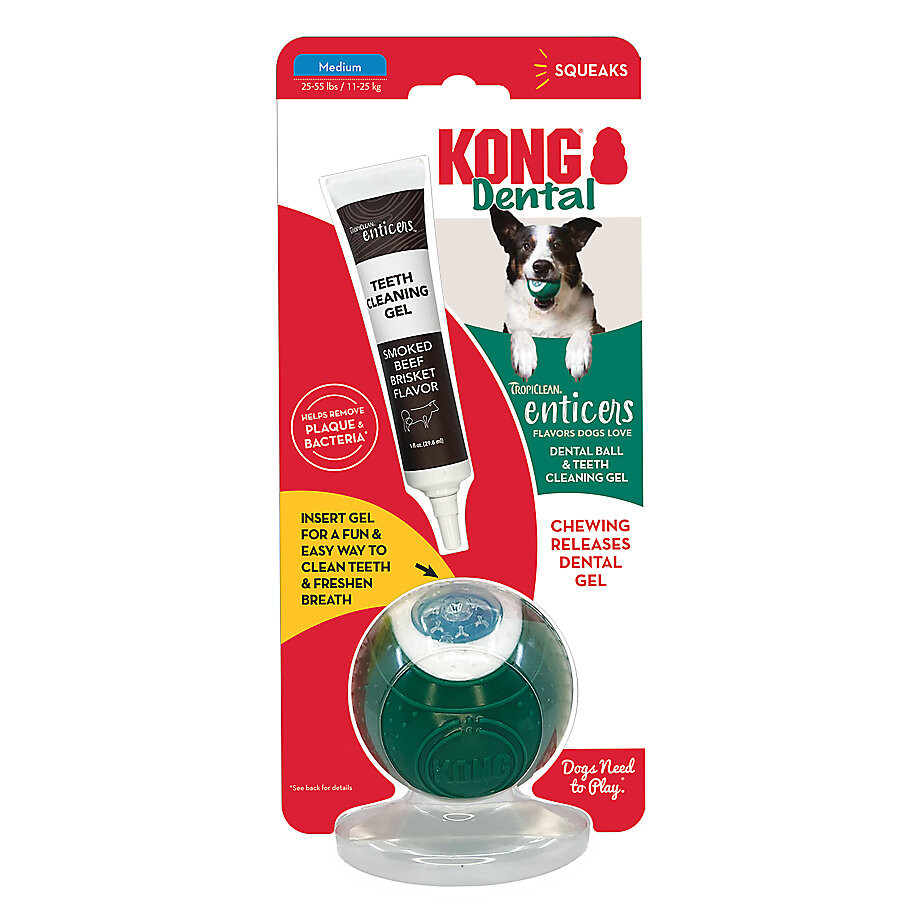 Tropiclean Enticers Teeth Cleaning Gel & Kong Dental Ball For Dogs