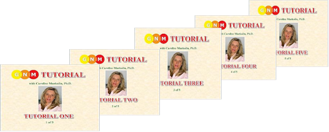 All LearningGNM Tutorials (18.5 hrs) of in-class GNM training
