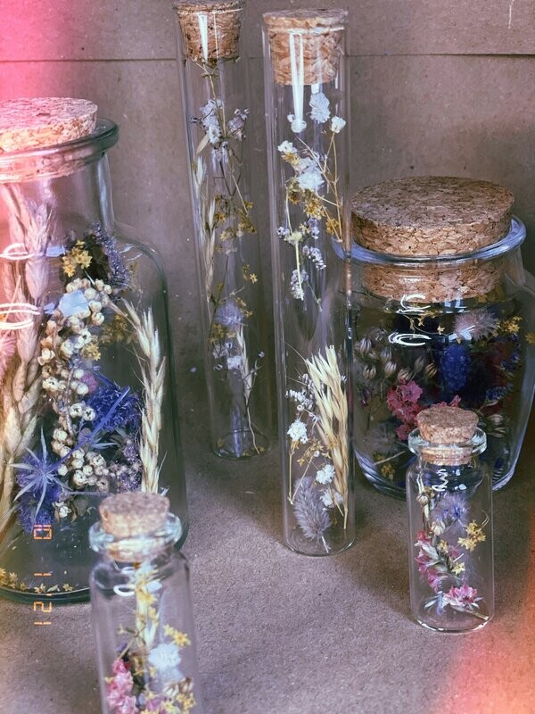 Dried Flowers