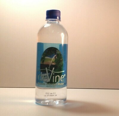 Devine Water - 16.9 fl. oz. bottle