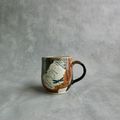 Cloudy with a Chance of Sunshine I