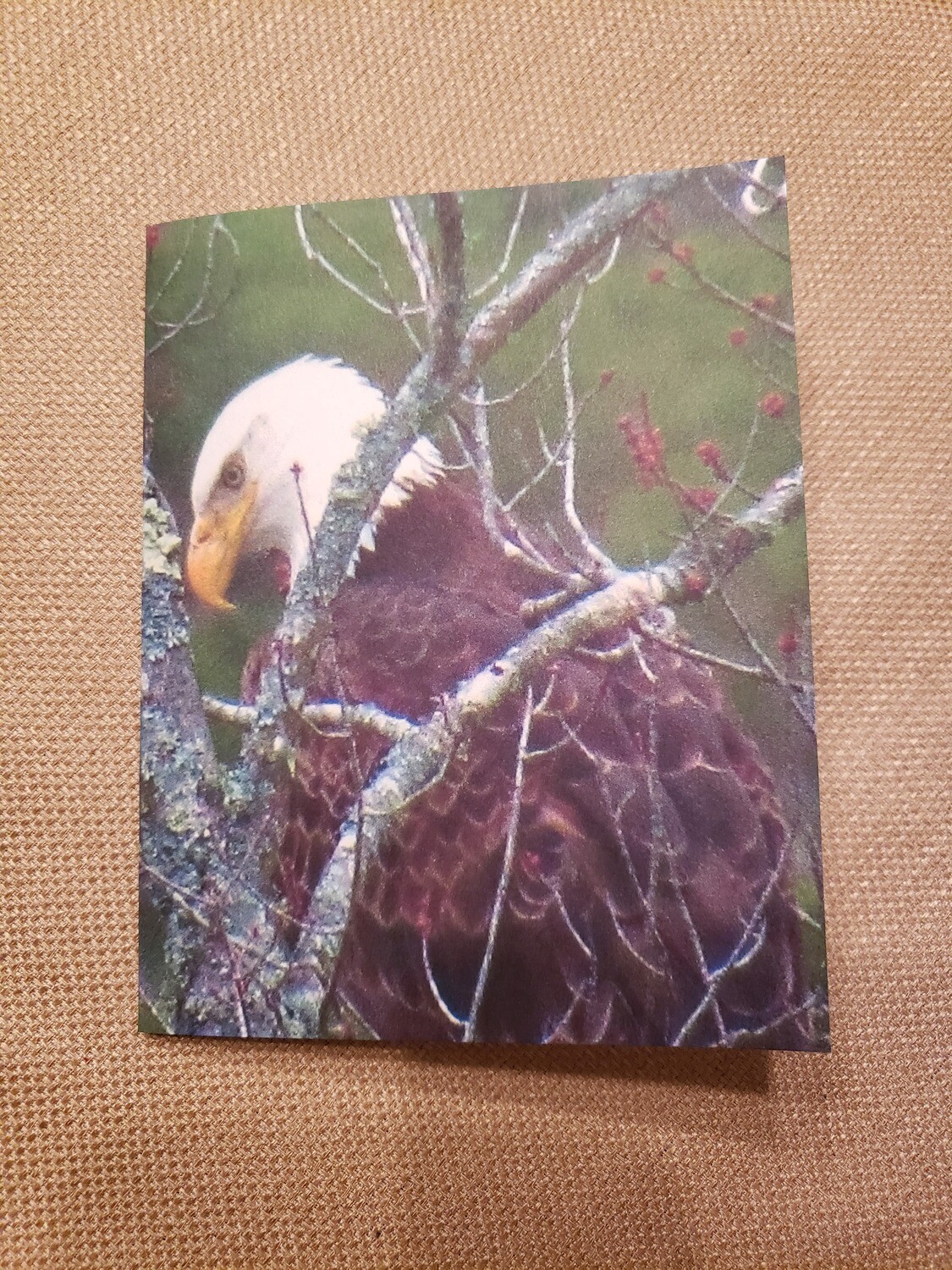 Eagle note cards