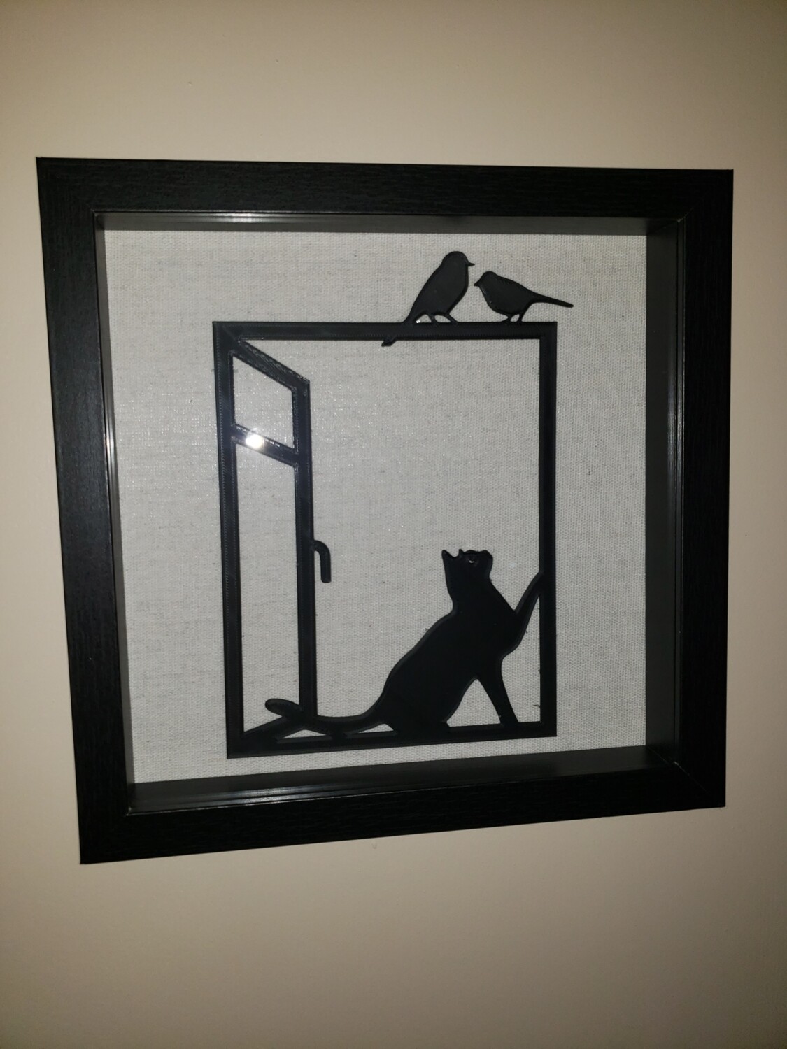 Cat in a box