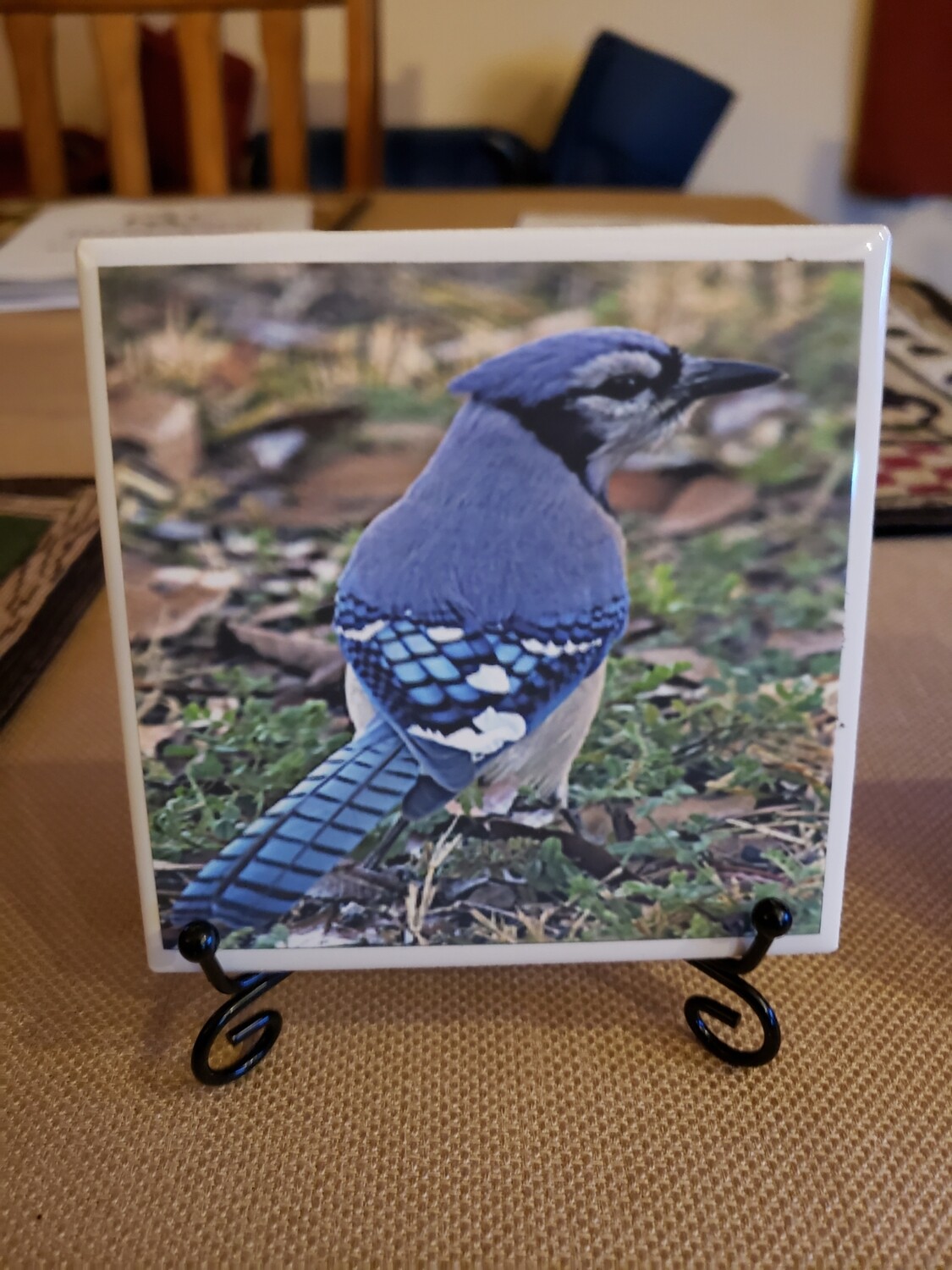 Cardnal and Blujay