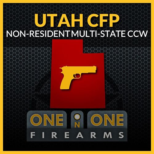 MULTI-STATE CONCEALED FIREARM PERMIT, Monday, 31 August 2026, 6 to 10:00 PM