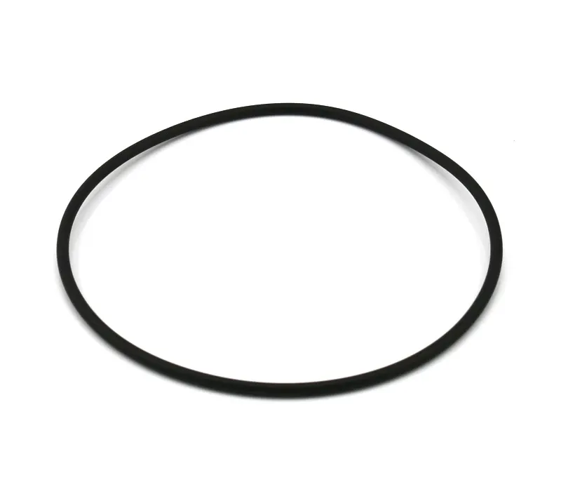 "O" Ring for Aqua-Polish, Dockside