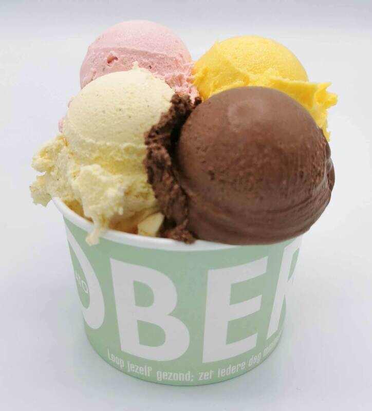 IJS-BAKJE 4 BOL