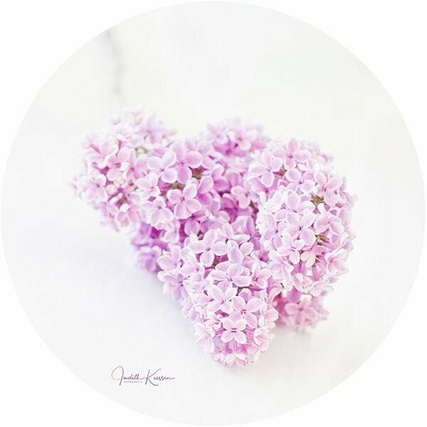 Sering Roze