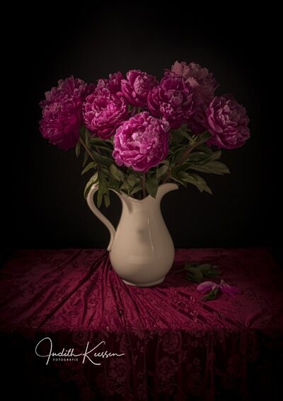Pioenroos Purple Vintage