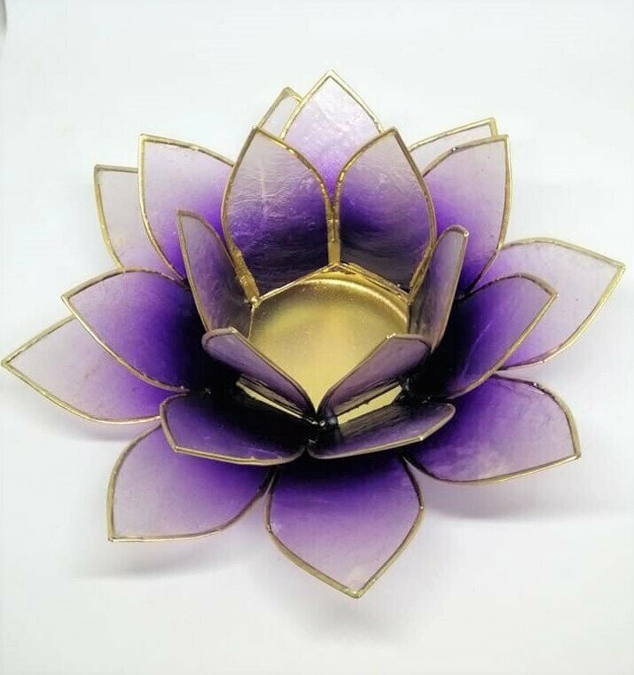 LOTO VIOLETTO