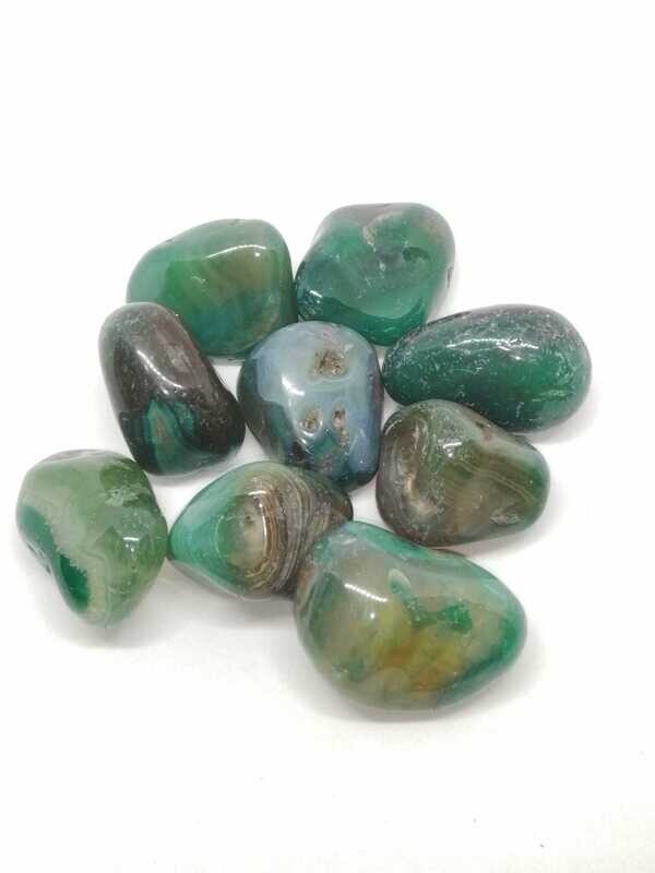 AGATA VERDE BURATTATA (1 pz)