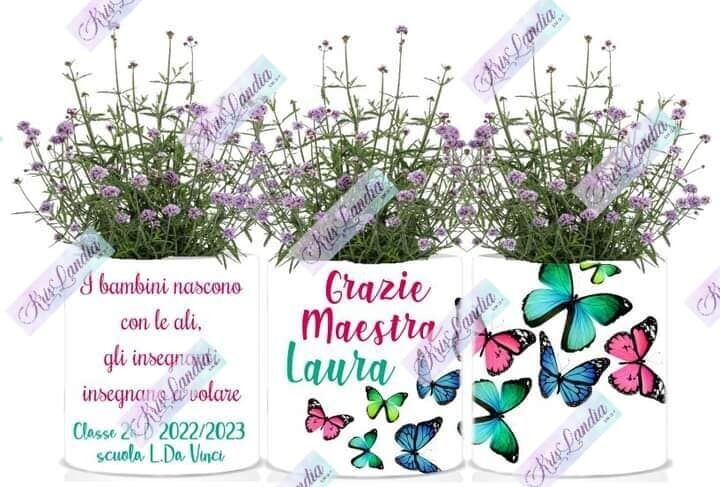 VASO CON FARFALLE - SU PRENOTAZIONE -