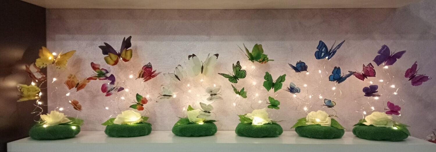 VOLO DI FARFALLE