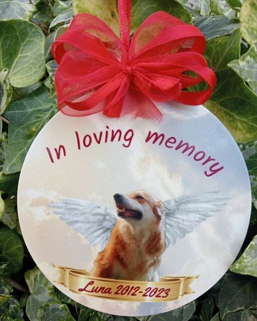 IN LOVING MEMORY