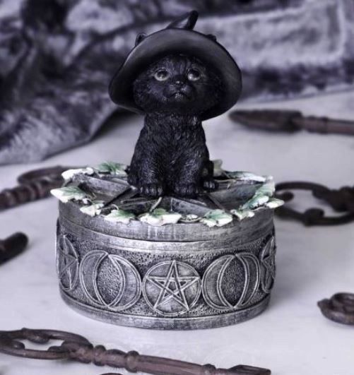 Ivy Familiar Box 15cm