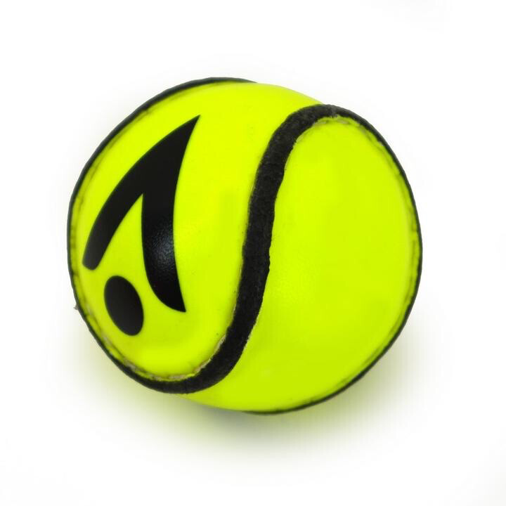 Sliotar Karakel Training
