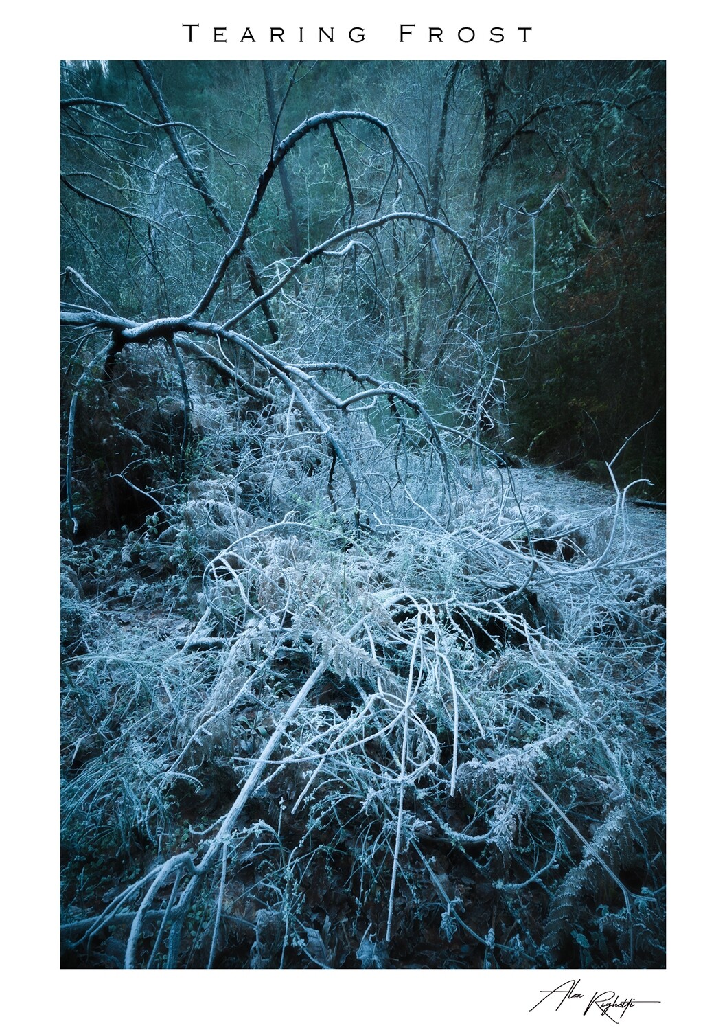 Tearing Frost Tearing Frost