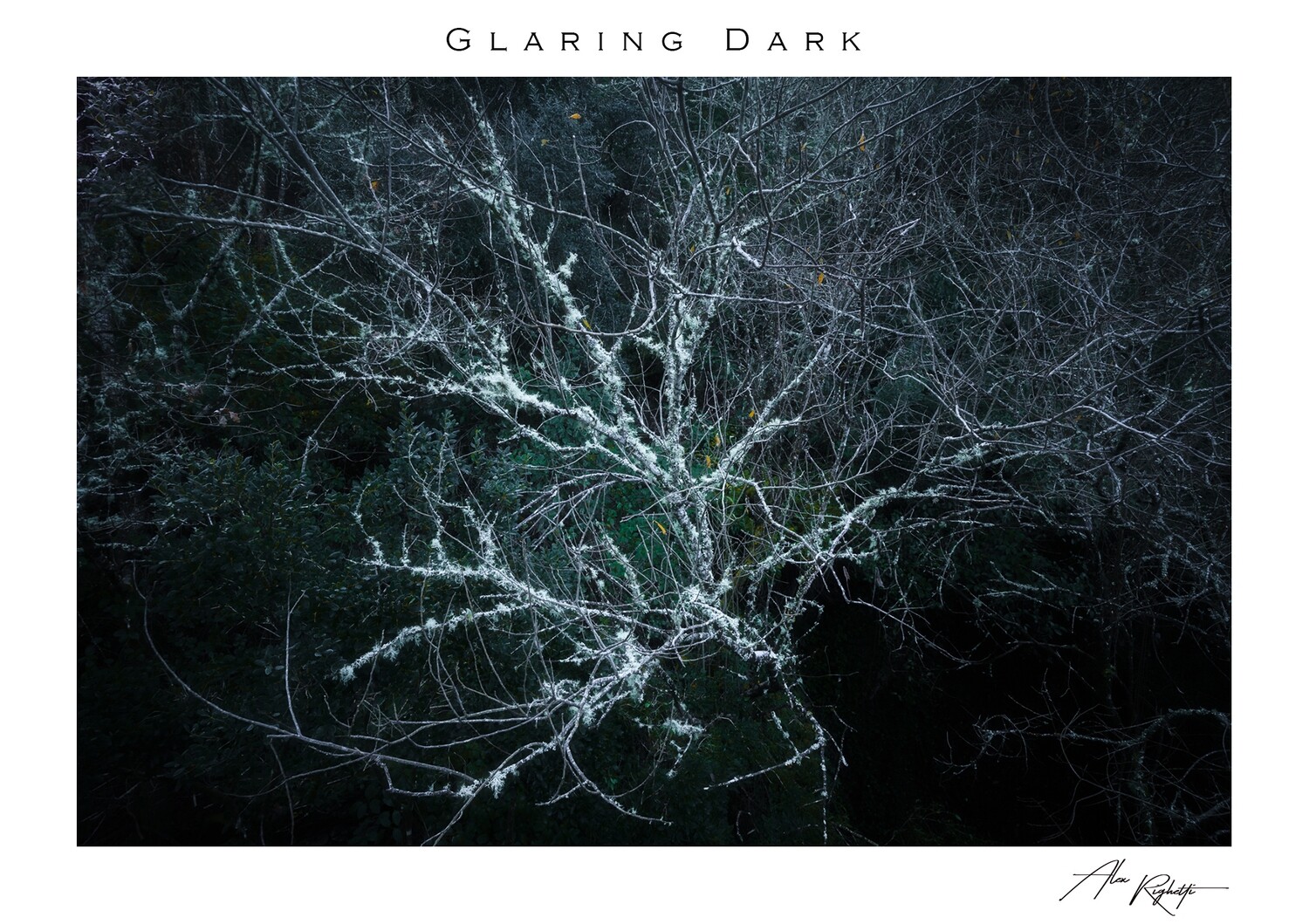 Glaring Dark (Special Edition) Glaring Dark (Special Edition)