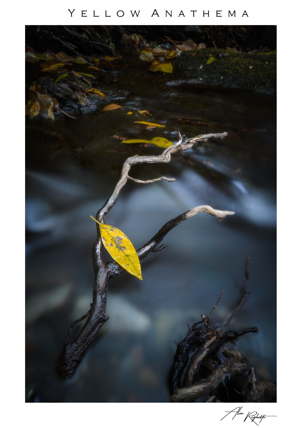 Yellow Anathema Yellow Anathema