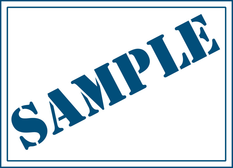 Tom's Midnight Garden SAMPLE