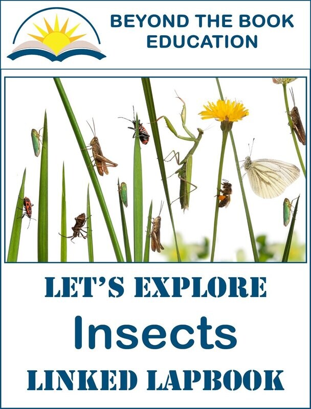 Insects Linked Lapbook