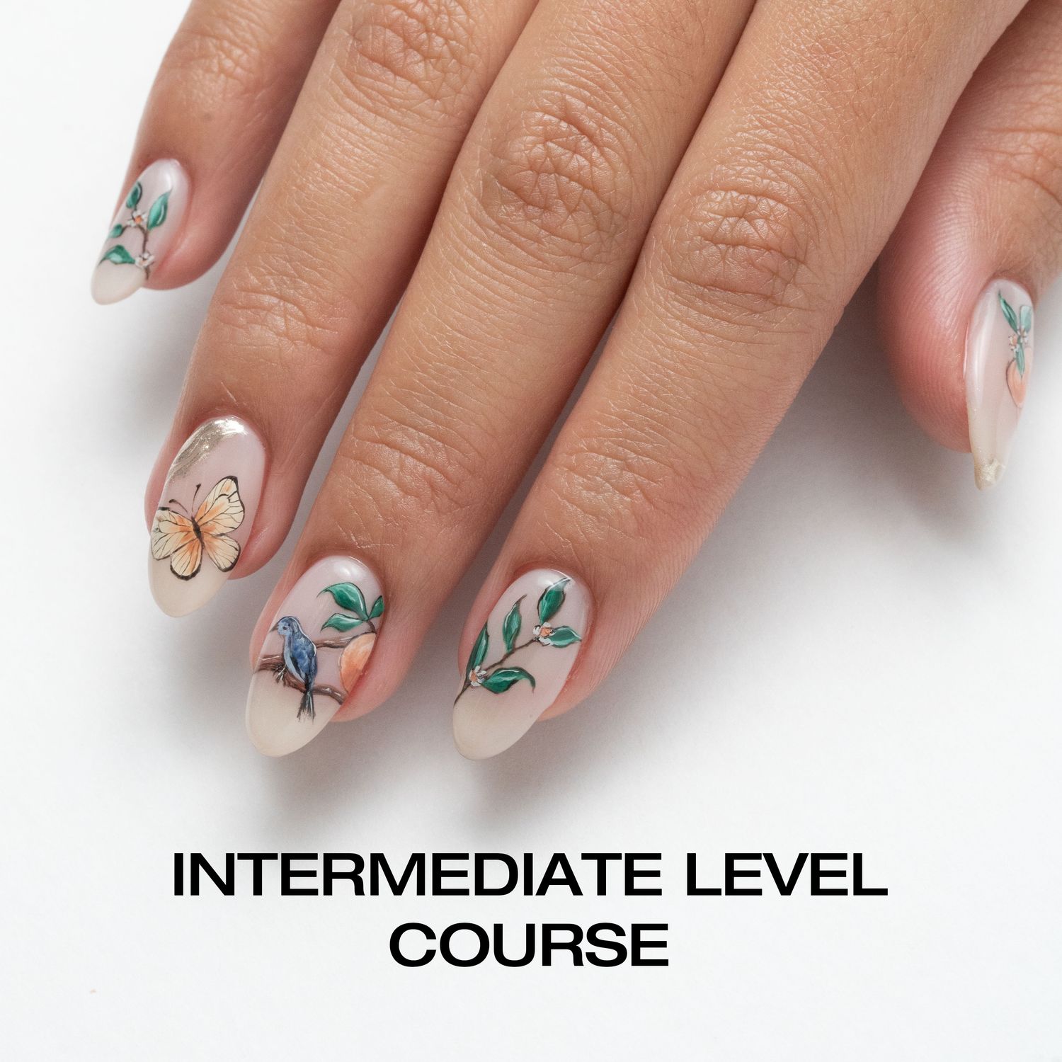 Intermediate Level Course