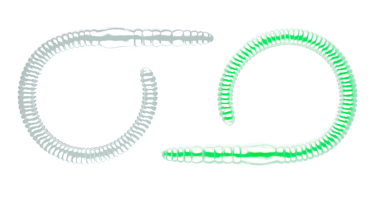 Libra Lures Flex Worm 95 mm | 10 Stuks |  Knoflook & Kaas | 6 Kleurvarianten