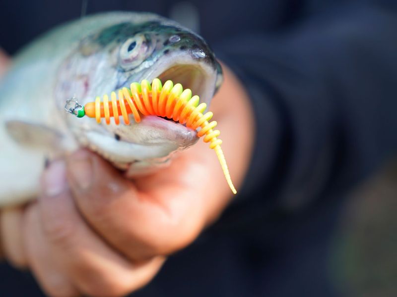 Spro Trout Master Master Worm 65 mm kunstaas 8 stuks