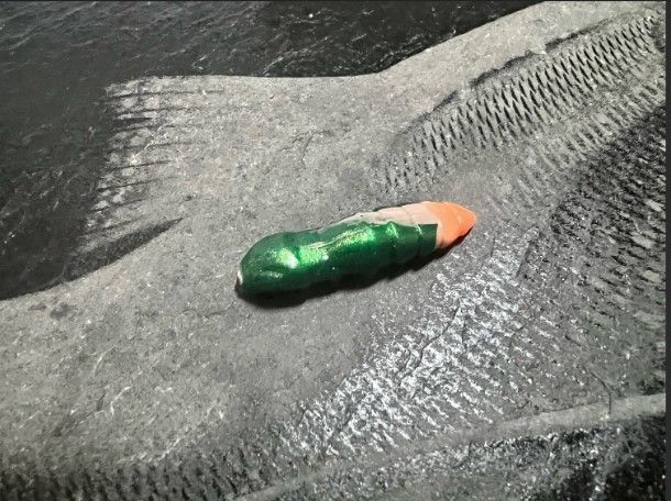 Forellen-Spezis | Hammer groen - zalm 8 stuks