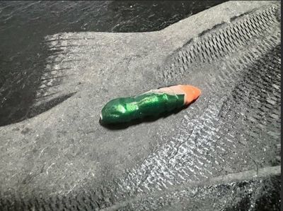 Forellen-Spezis | Hammer groen - zalm 8 stuks