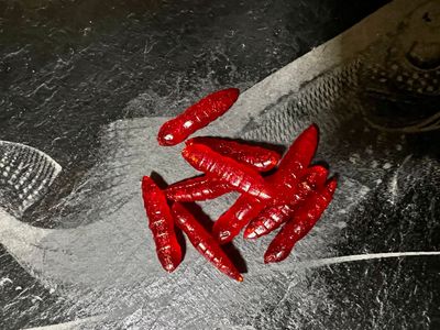 Forellen-Spezis | Hammer Rood 8 stuks bubblegum geur