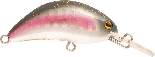 Rapture Hot Bean regenboogforel  3.5 gram met Extra enkele haak | 50% UITVERKOOP