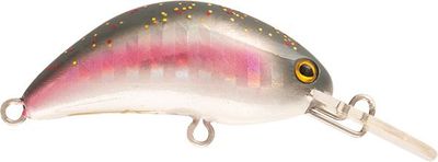 Rapture Hot Bean regenboogforel 3.5 gram met Extra enkele haak | 50% UITVERKOOP Rapture Hot Bean regenboogforel 3.5 gram met Extra enkele haak | 50% UITVERKOOP