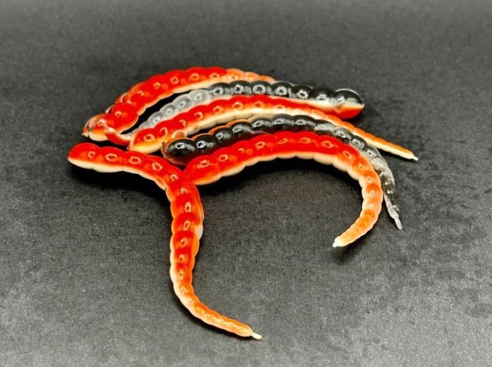 Forellen-Spezis | Racker Turbo 6.5 cm oranje wit zwart 6 stuks Forellen-Spezis | Racker Turbo 6.5 cm oranje wit zwart 6 stuks