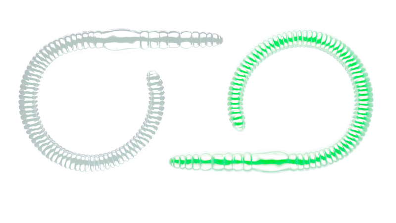 Libra Lures Flex Worm 95 mm | 10 Stuks |  Knoflook & Kaas | 6 Kleurvarianten