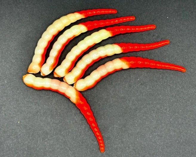 Forellen-Spezis | Racker 6.5 cm oranje  wit 6 stuks