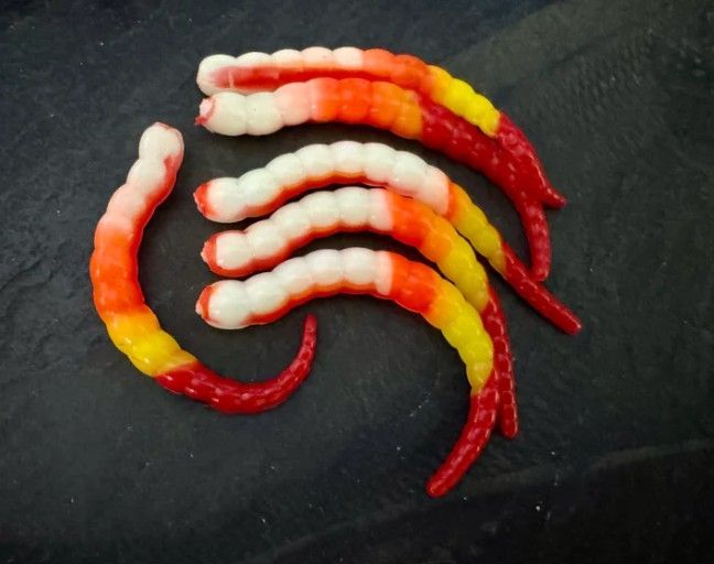 Forellen-Spezis | Racker 6.5 cm oranje  wit  geel rood 6 stuks