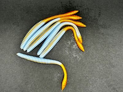 Forellen-Spezis | Knut babyblue gold 8 stuks