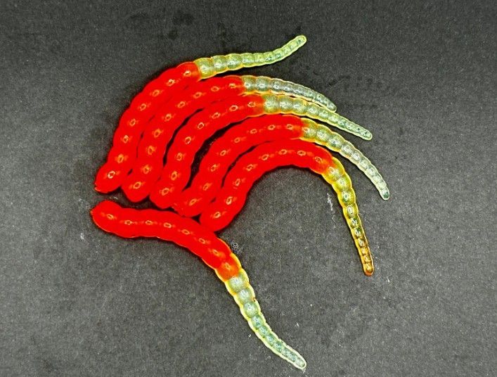 Forellen-Spezis | Racker 6.5 cm transparant oranje 8 stuks