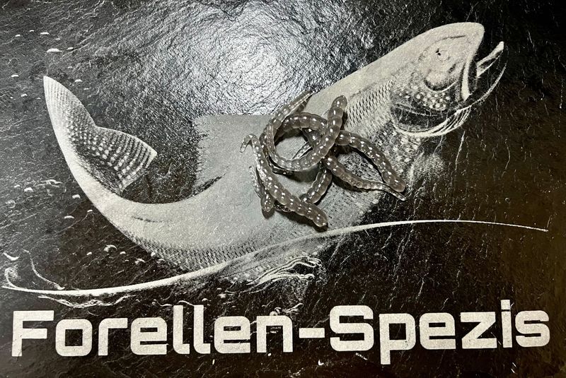 Forellen-Spezis | Racker 6.5 cm Glow transparant kleur 8 stuks Forellen-Spezis | Racker 6.5 cm Glow transparant kleur 8 stuks