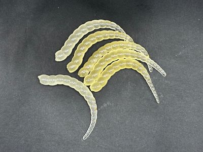 Forellen-Spezis | Racker 6.5 cm Glow transparant kleur 8 stuks Forellen-Spezis | Racker 6.5 cm Glow transparant kleur 8 stuks