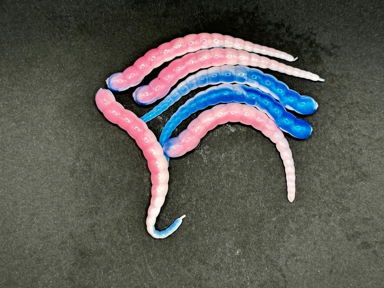 Forellen-Spezis | Racker 6.5 cm Universe pink wit blauw kleur 8 stuks Forellen-Spezis | Racker 6.5 cm Universe pink wit blauw kleur 8 stuks