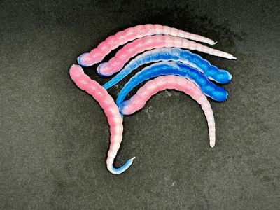 Forellen-Spezis | Racker 6.5 cm Universe pink wit blauw kleur 8 stuks Forellen-Spezis | Racker 6.5 cm Universe pink wit blauw kleur 8 stuks