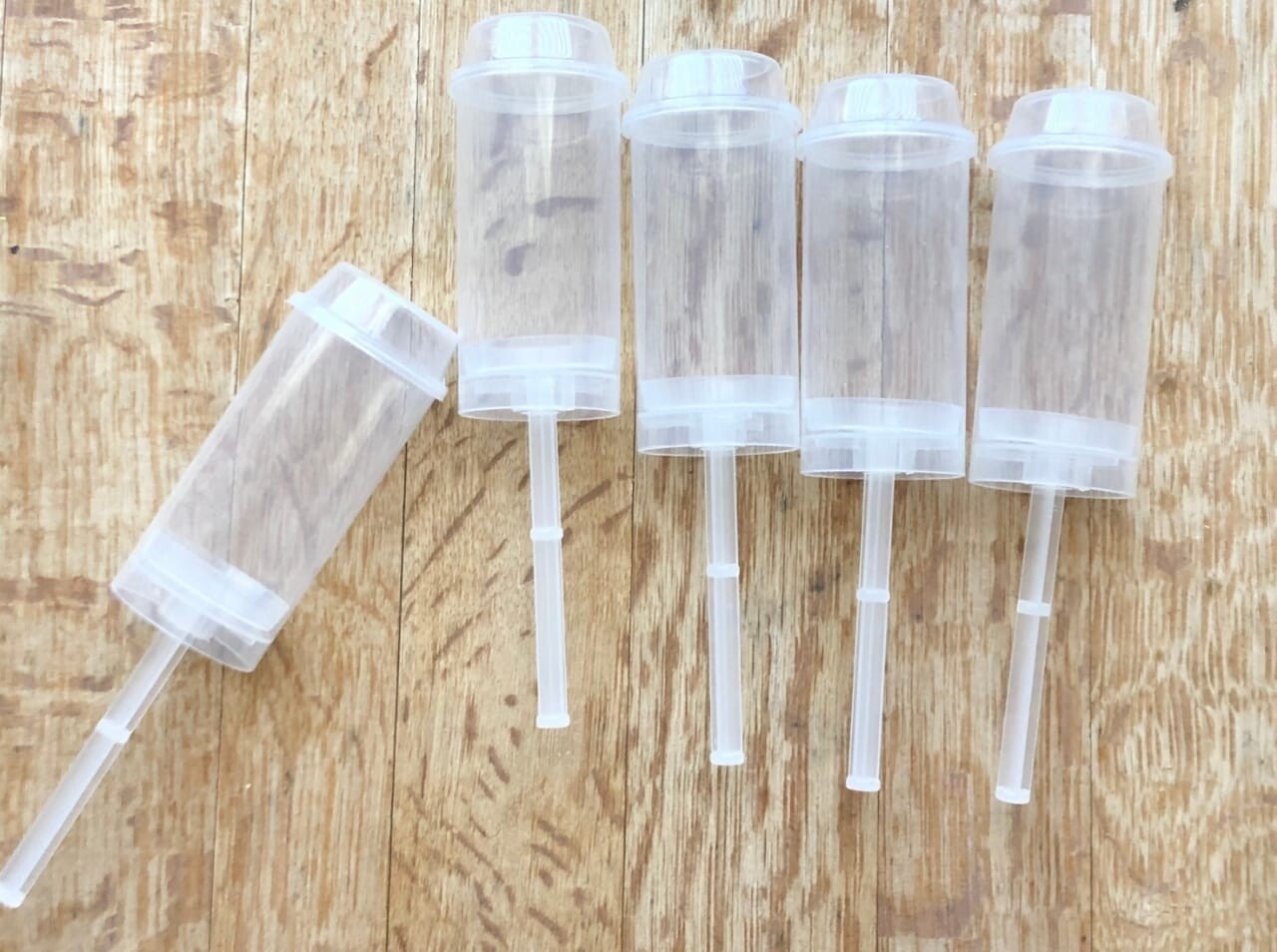 Confetti poppers (empty)